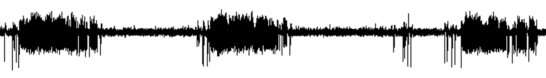 EEG Wave