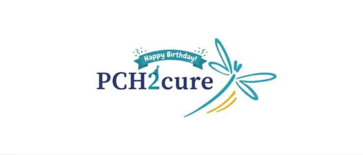 Hurra, 2 Jahre Pch2Cure.org!